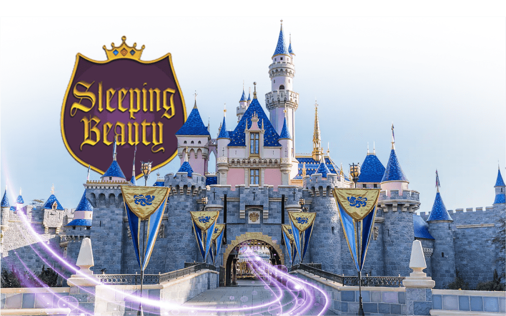 Disney Castle